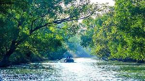 3-month tourism, fishing ban imposed in Sundarbans