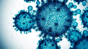 13 new COVID-19 cases reported in 24-hour