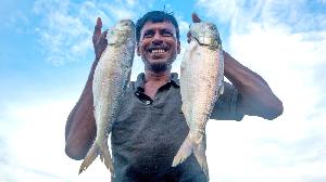 Bay fishing ban ends at midnight 