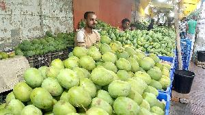Bagha traders frustrated as mangoes not exported this season