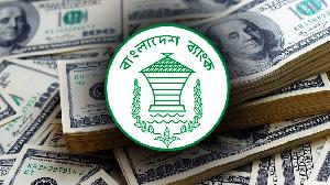 Forex reserves cross $31b mark after 2-year: BB