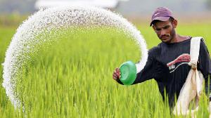 Govt to buy 30,000 MT of urea fertilizer for Tk 146cr