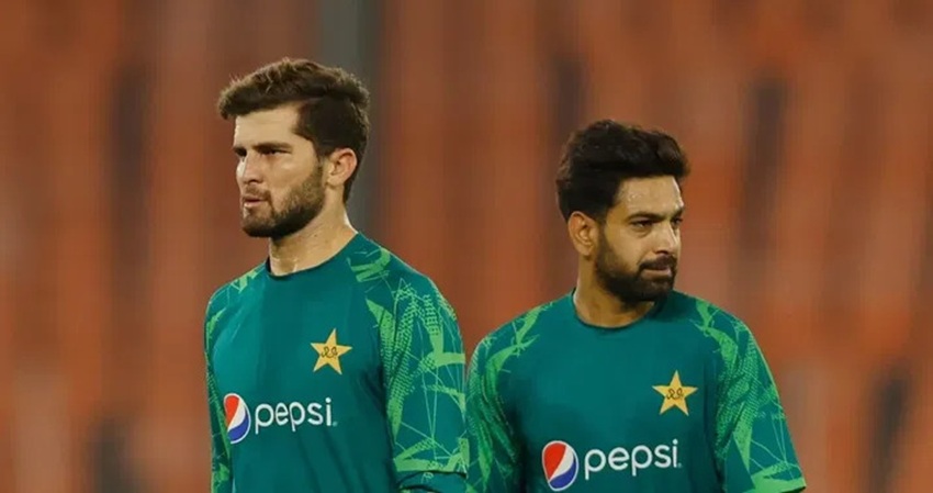 Pakistan Rauf Sb Shaheen, Rauf back in Pakistan's T20 squad