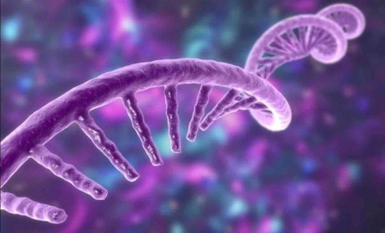 Scientists discover mysterious new life forms inside the human body