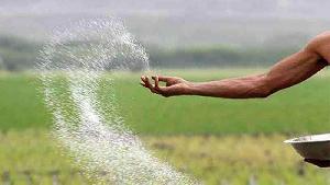 Syndicate in Rajshahi drives up fertiliser prices 