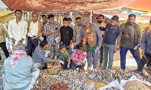 BNP distributes leaflets at Kaptai market