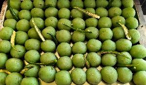 Nageshwari's chilli rasgulla hits the streets 
