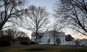 Messi's Inter Miami to visit White House: US media