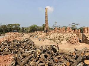 17 out of 33 brick kilns in Char Fasson operating without approval