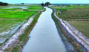 Farmers worried over irrigation amid diesel shortage fear in Barishal 