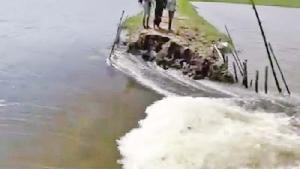 3,000 ha of Boro paddy go under water as Sunamganj haor flooded