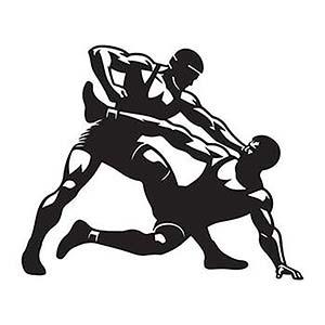 Bashundhara hosts Int'l combat night at Sports City