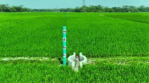 Fuel shortage, price hike threaten Boro irrigation in Barishal region 