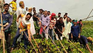 MP Zillani leads canal cleaning drive at Kotalipara 