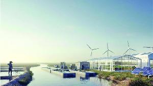 Tk 617bn shrimp city set to unlock $50bn export goldmine