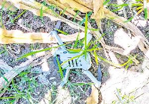 BSF surveillance drone crashes in BD