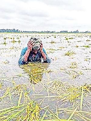 Haor flooding starts to ease