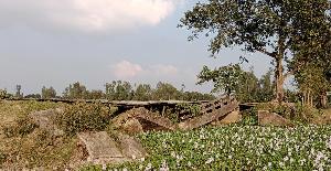 Kachua bridge at Nageshwari collapses again 