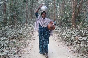 Long struggle for safe water ends in Naogaon's forest village