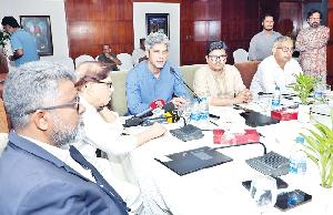Experts demand 51pc domestic ownership in seaports, airports and energy sector
