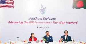 AmCham calls for urgent IPR reforms to boost investor confidence