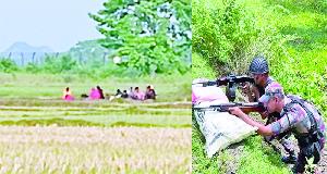 BGB foils 'push-in' attempt at Benapole border