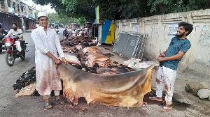 Rawhide prices slump in Rajshahi