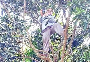 Head-teacher risks life climbing mango tree for online attendance