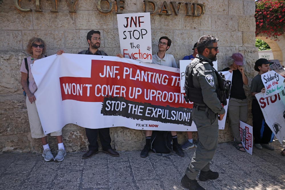 Israeli and foreign activists