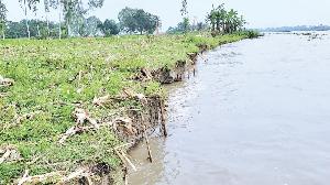 Hundreds fear displacement as Dharla erosion intensifies