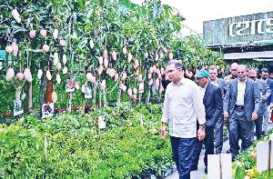 Plant a tree for every newborn: PM
