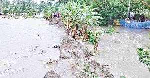Tidal surge breaches Hatiya dam, floods vast areas