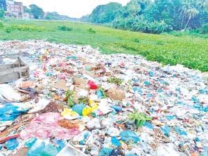 Waste dumping pollutes Kumar River at Muksudpur