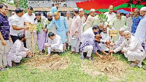 Tree planting in 8,000 Naogaon religious institutions begins