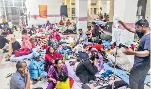 Dengue claims 14 lives in 3 days