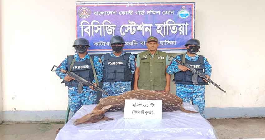 Coast guard recovers 40 kg Slaughtered deer in Hatiya