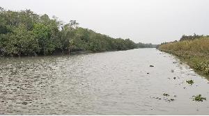 Sundarban starts afresh after 3-month closure