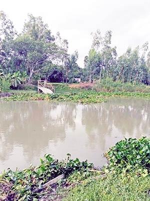 New wooden bridge disappears into river within four months in Gaibandha