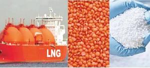 Govt to procure 1.55 lakh MTs fertiliser, 10,000 MTs lentil