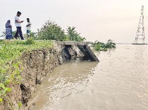 Padma swallows homesteads of 10 families in Shariatpur
