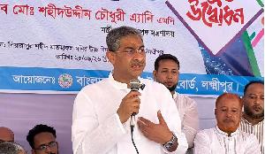 Opposition plotting against democracy: Anee