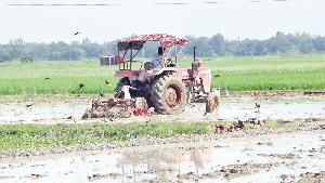 Naogaon farmers count the cost of costlier diesel