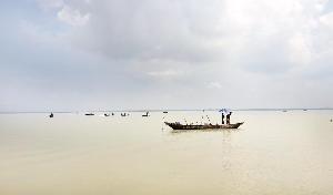 Loan pressure forces fishermen to catch mother hilsa