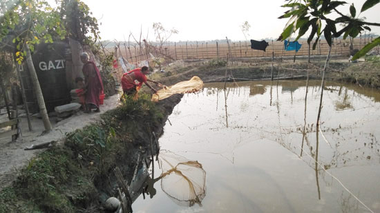 A woman catches fish from an extremely saline fish farm which is located in Baherchar village of Patuakhali district.