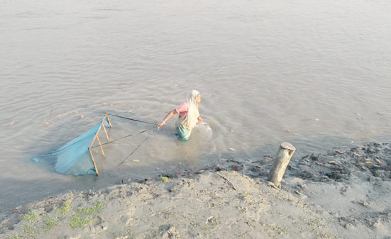 A woman catches fish fry from the Agunmukho River in Patuakhali district.