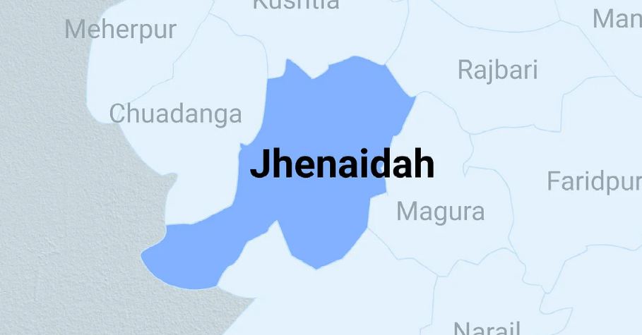 Snake bite kills school boy in Jhenidah