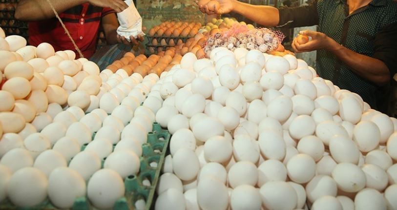 Some unscrupulous hatchery owners responsible for hiking egg prices