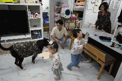 South Korea in demographic crisis as many stop having babies