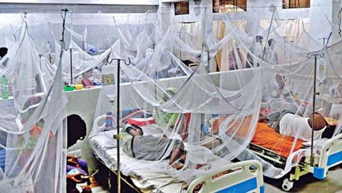 Bangladesh reports 308 dengue cases