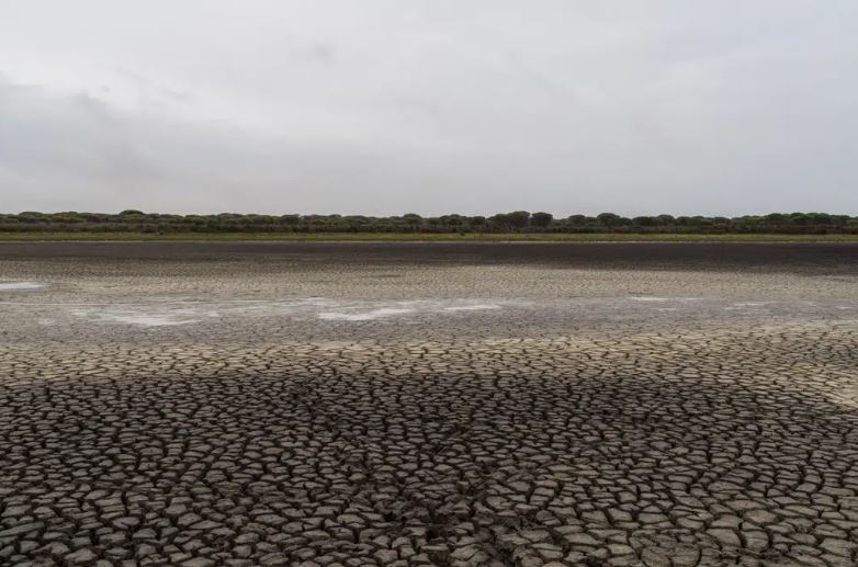 EU warns Spain over expanding irrigation near prized wetland